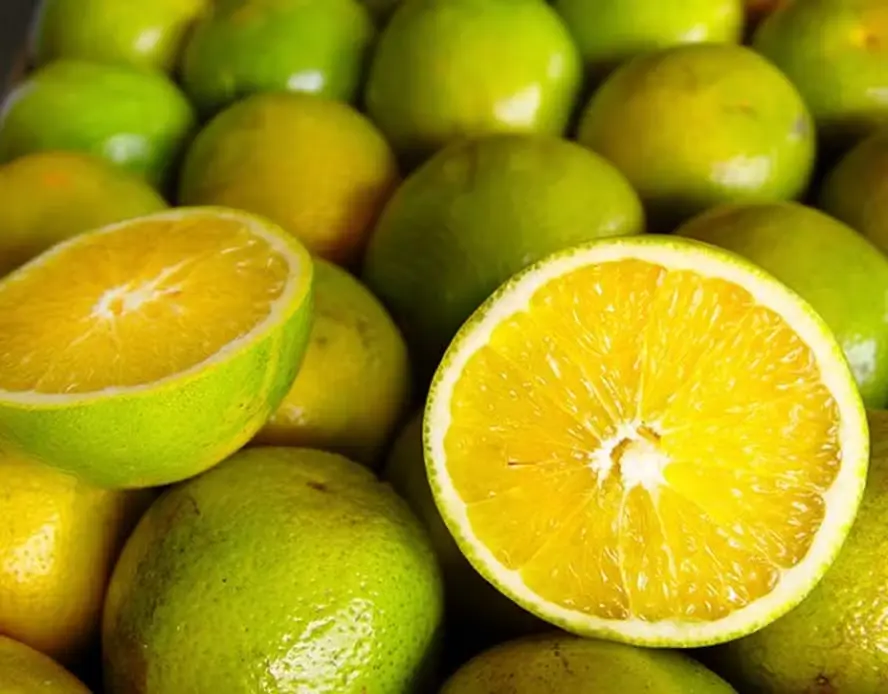 Clima pode influenciar mercado de frutas de mesa em outubro