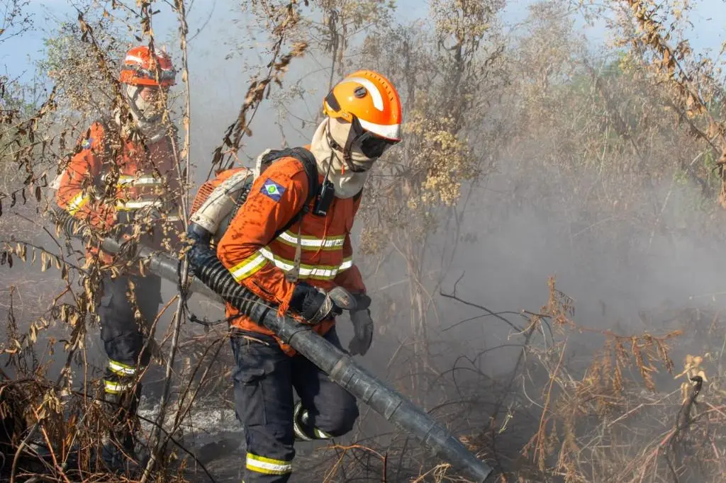 Mato Grosso tem queda de 82% nos focos de calor e registra setembro menos crítico em 28 anos