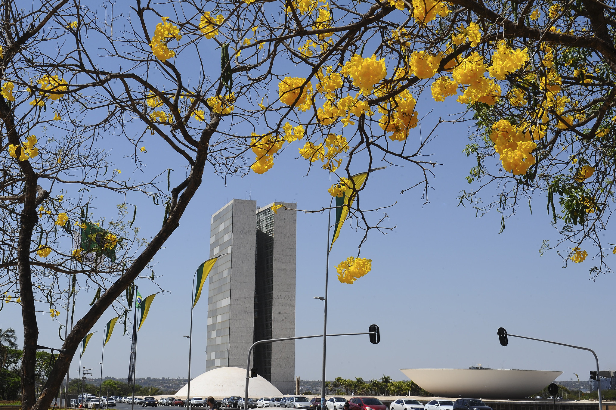 Fachada congresso candidatos deputado federal mato grosso mt eleicoes
